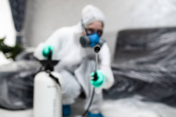 woman exterminator in work wear spraying pesticide or insecticide with sprayer woman exterminator in work wear spraying pesticide or insecticide with sprayer